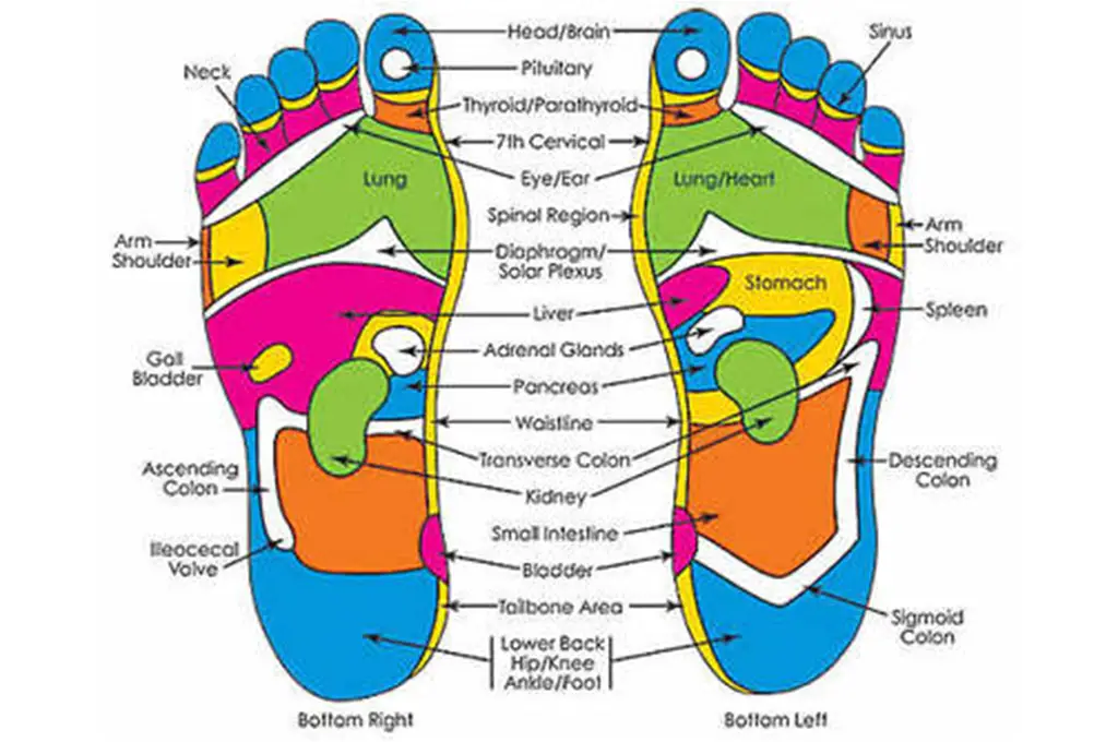 reflexology